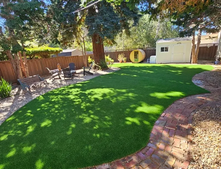 McKinney, Texas turf cleaning backyard