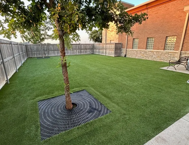 Pet grooming facility in Frisco, Texas getting clean turf