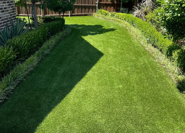 Pet odor and urine extraction from artificial turf in Frisco, TX