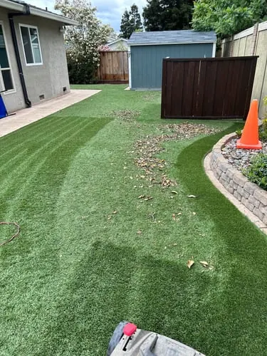Clean Green Turf recent job
