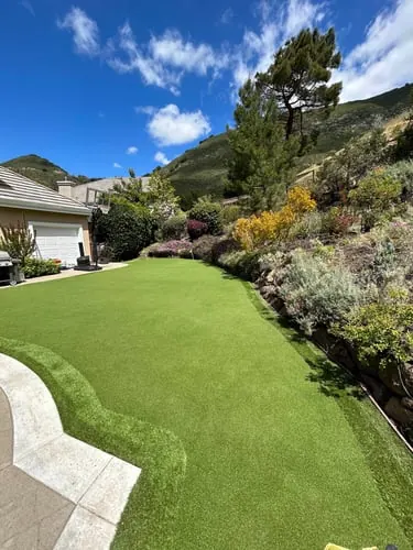 Clean Green Turf recent job