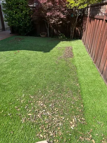 Clean Green Turf recent job