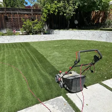 Clean Green Turf recent job