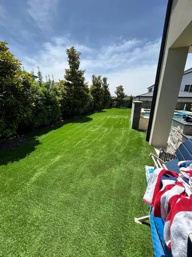 Clean Green Turf recent job