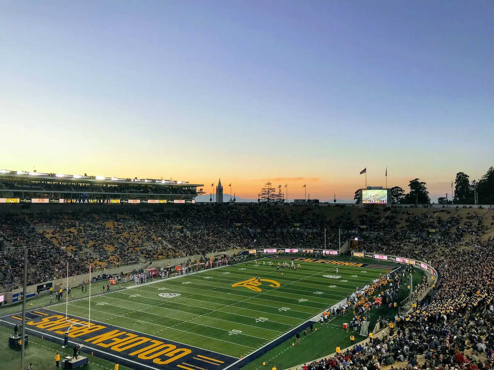 crowd inside green Golden Bears stadium