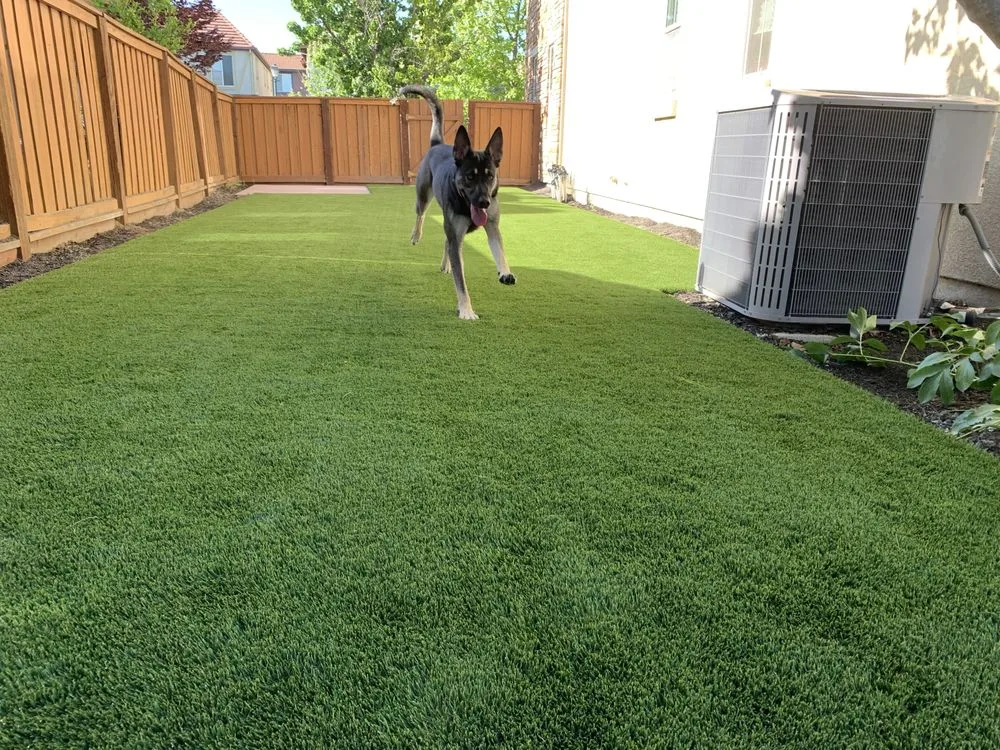 Side yard artificial turf installation with dog running